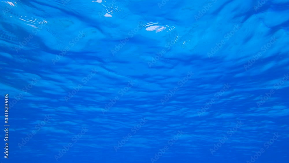 Small waves on the surface of blue water. Blue ocean, underwater shot. Underwater background
Small waves on the surface of blue water. Blue ocean, underwater shot. Underwater background