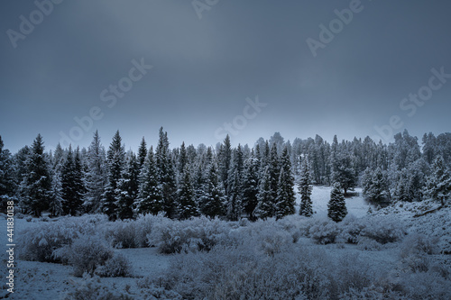 2021-05-10 SNOW COVERED VALLEY AND TREES IN THE LAMAR VALLEY YELLOWSTONE PARK © Michael J Magee