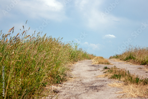 Dirt road through field on a clear day. A country road stretches to the horizon in a field in summer. The sun illuminates the road in the field among the grass.