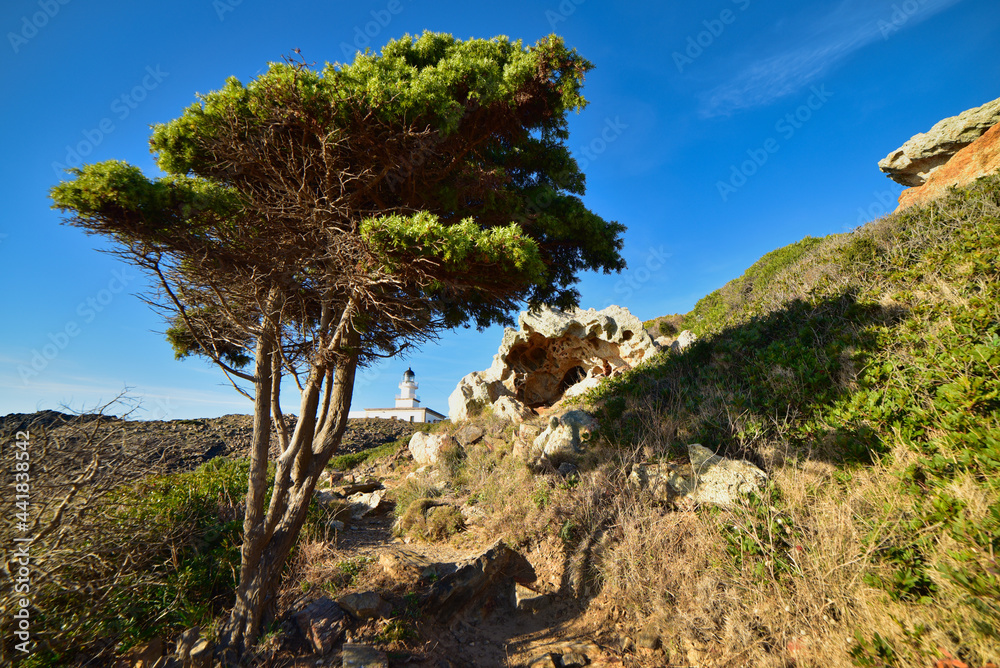 CAP DE CREUS CADAQUÉS GIRONA SPAIN CAP DE CREUS CADAQUÉS GIRONA SPAIN