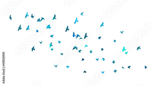 A flock of blue birds. Vector illustration