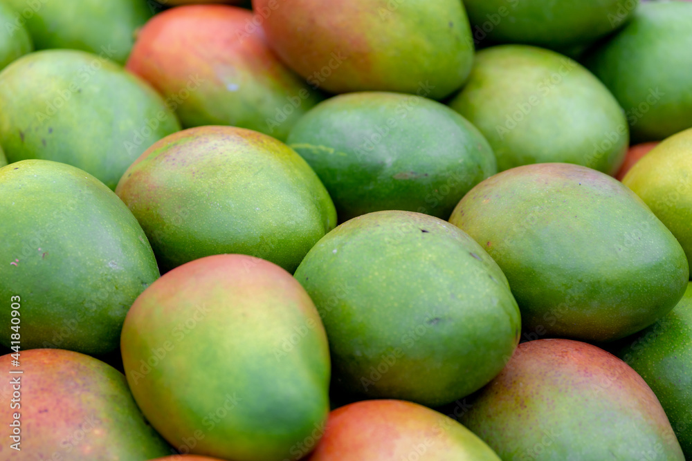 Staked of fresh ripe fruit on the market stall, A mango is an edible