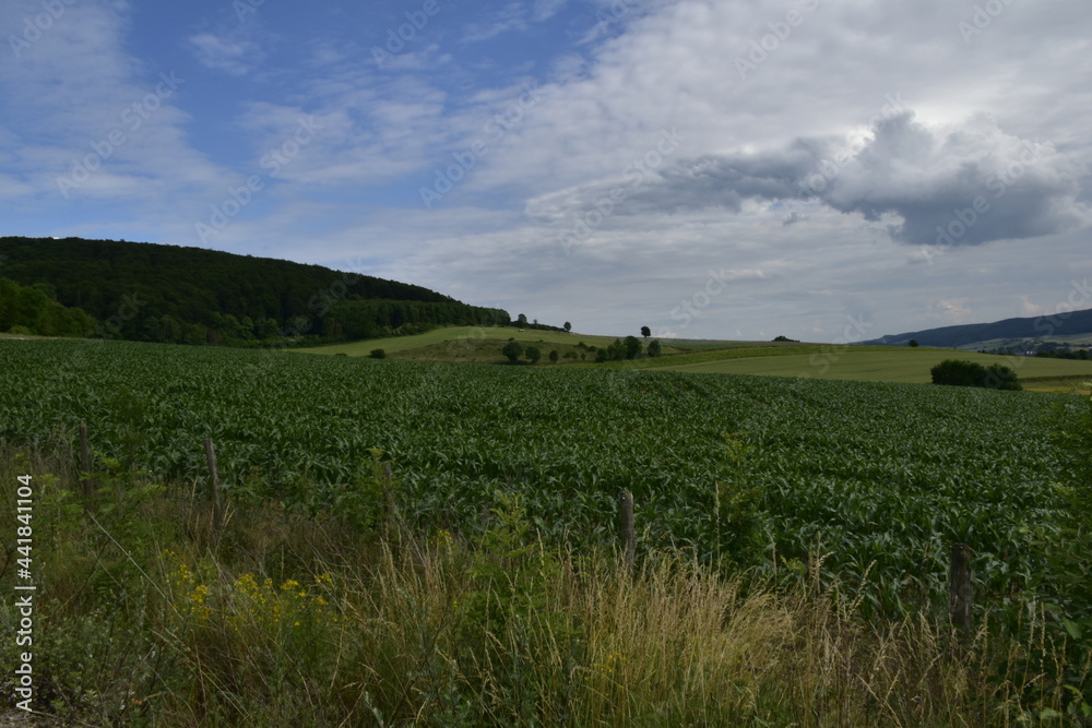 Landschaft und Wolkenbild bei Hameln Landschaft und Wolkenbild bei Hameln