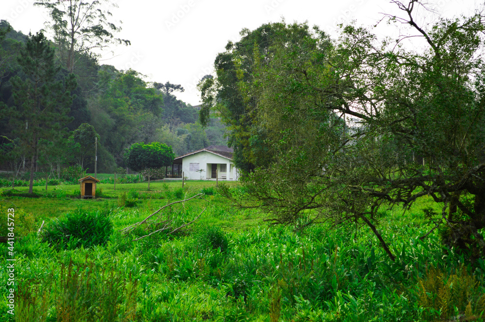 house in the woods