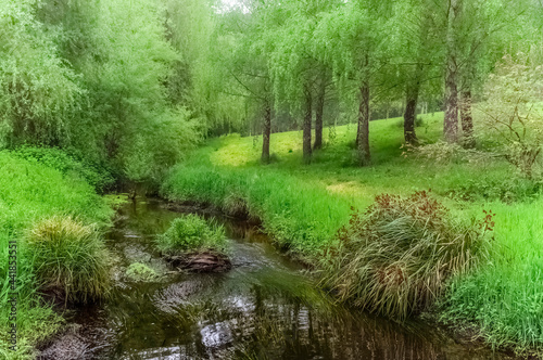 Dreamy Creek