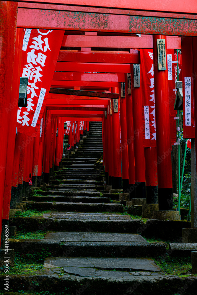 japanese garden gate