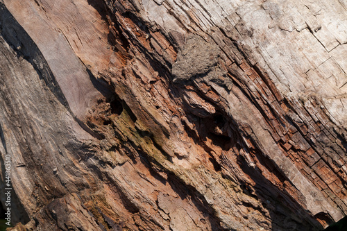 wood surface with its structure