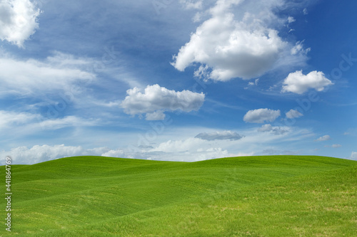 Italy, Tuscany, Val D'Orcia, Green hills under blue sky