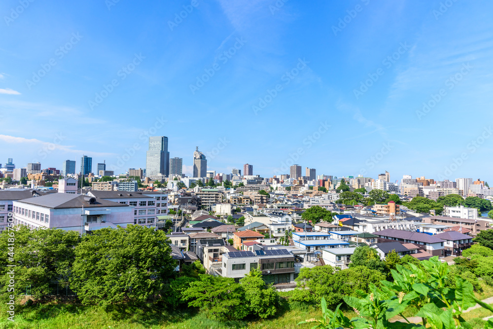 向山付近より仙台市内を望む