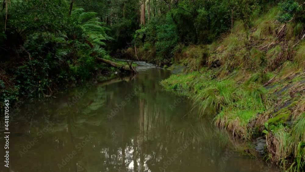 Mindful meditation rainforest river 4k