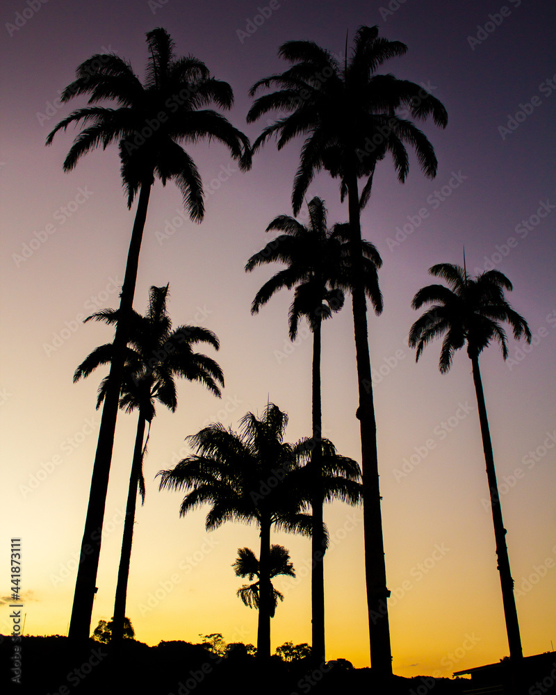 Obraz premium Sunset at Ceara - Brazil