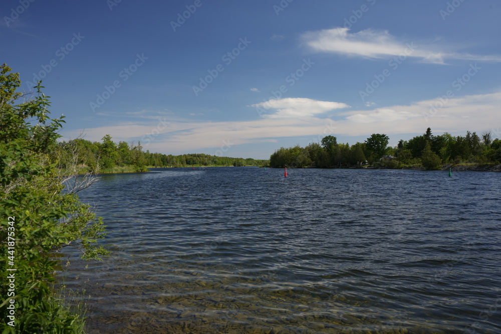 Beautiful Outdoor Landscape in Cottage Country