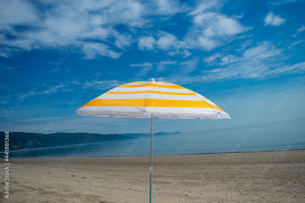 beach umbrella on the beach