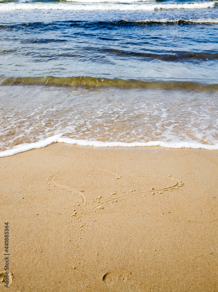 the Baltic sea is cold in the summer the Baltic sea is cold in the summer