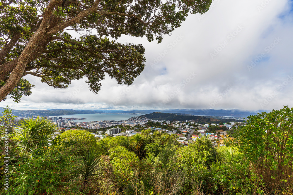 Wellington city harbor, New Zealand Wellington city harbor, New Zealand