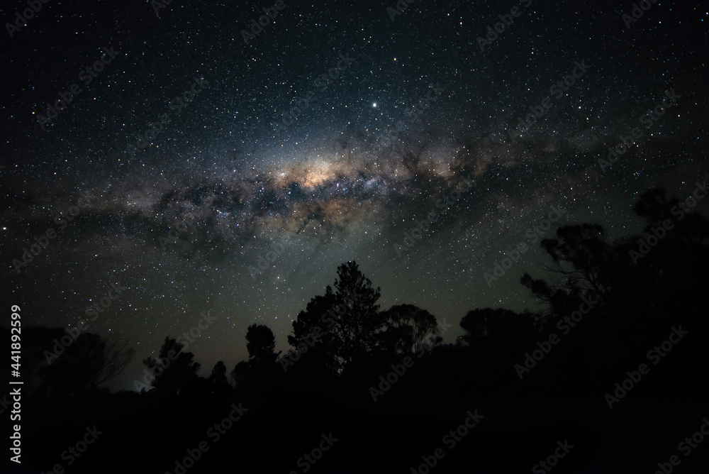 Milkyway and Starry Sky Over Silhouette of Trees. Astro Photography Concept