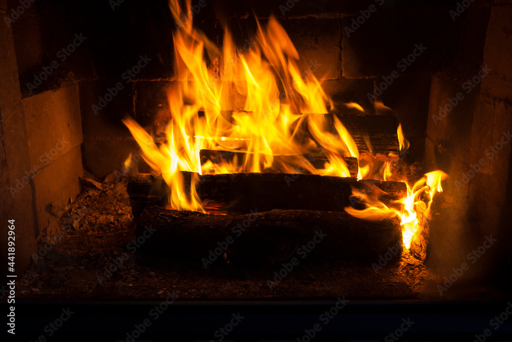 Fototapeta premium burning logs in the fire of a barbecue or stove or fireplace