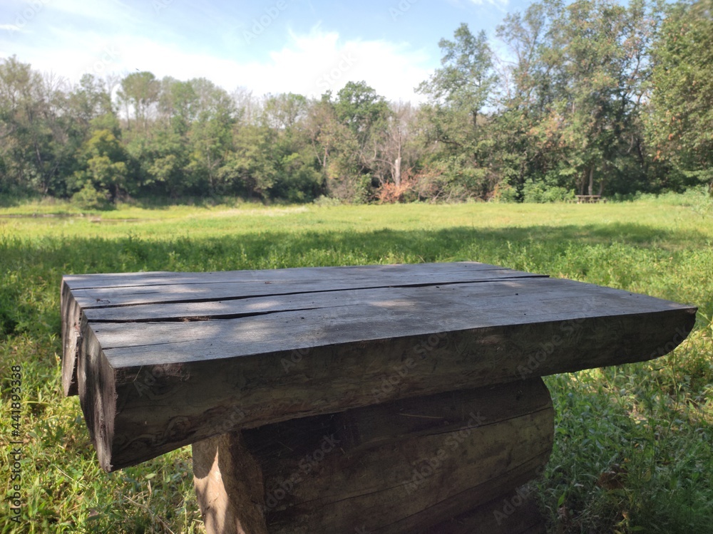 wooden bench in the park wooden bench in the park