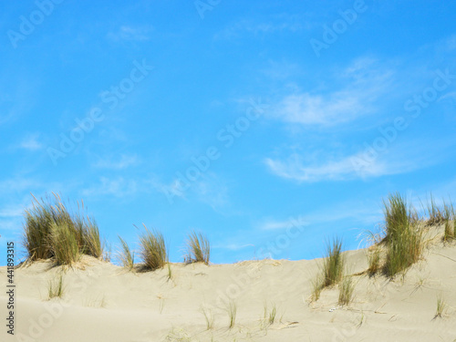 Sand with grassy areas and sky with clouds