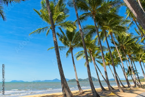 Fototapeta Palm trees on tropical beach in Palm Cove North Queensland