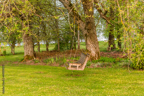 Wooden Swing Hanging from a Tree at a Farm in Latvia at Sunset