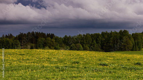 Meadow and clouds