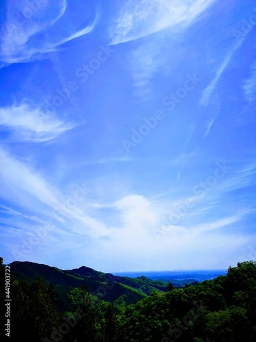 山越しに望む街並み