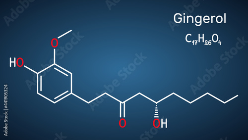 Gingerol molecule. It is phenol phytochemical compound, antineoplastic agent, is found in fresh ginger. Structural chemical formula on the dark blue background