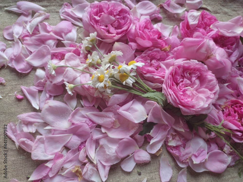bouquet of pink peonies