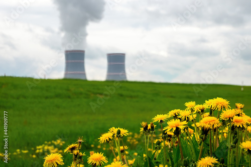 Yellow dandelions close-up and cooling towers of nuclear power plant against the cloudy dramatic sky in Ostrovets, Grodno region, Belarus. photo