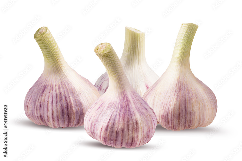 Obraz premium Garlics isolated on white background