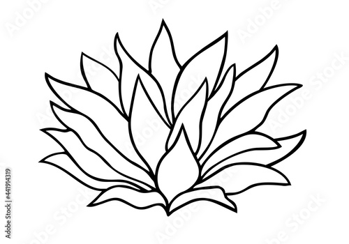 Lotus flowers. Vector illustration. Tropical flower Linear drawing. Vector black and white image. Template for coloring books. Botanical illustration.