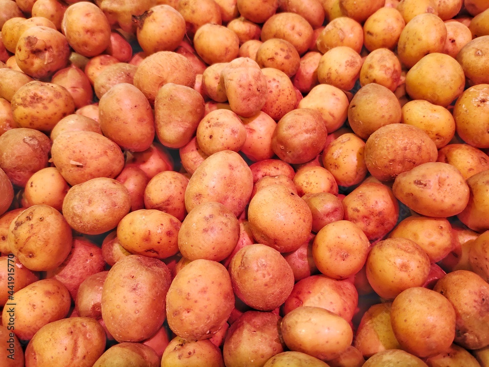 Photos of fresh potatoes (Solanum tuberosum) Photos of fresh potatoes (Solanum tuberosum)
