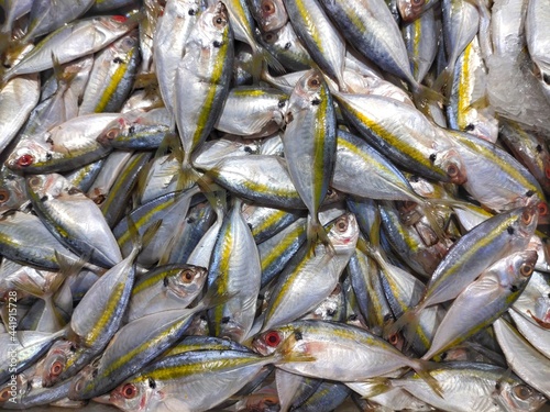 sea fish in the market. yellow trout (Atule mate, Selaroides leptolepis) photo
