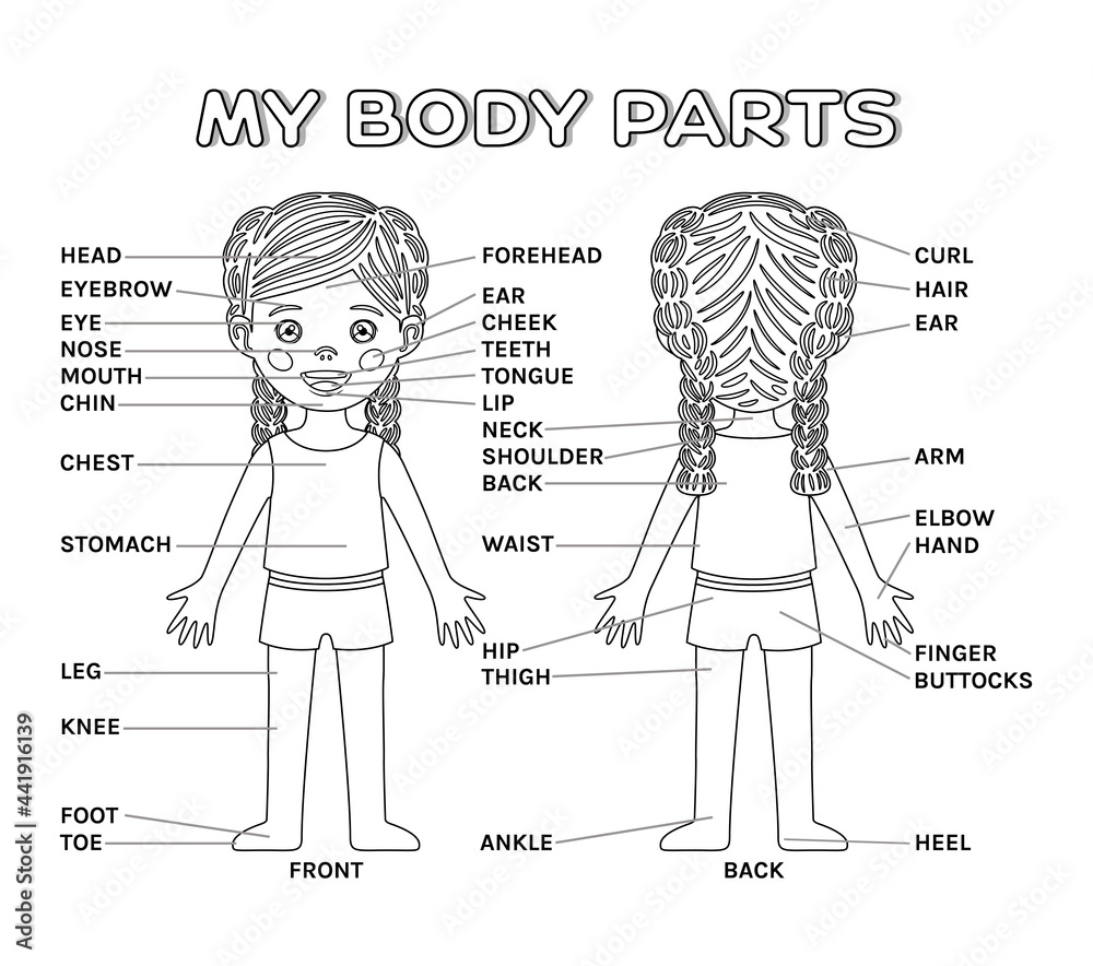 My Body Parts And Cartoon Isolated Pretty Little Girl. Poster For 