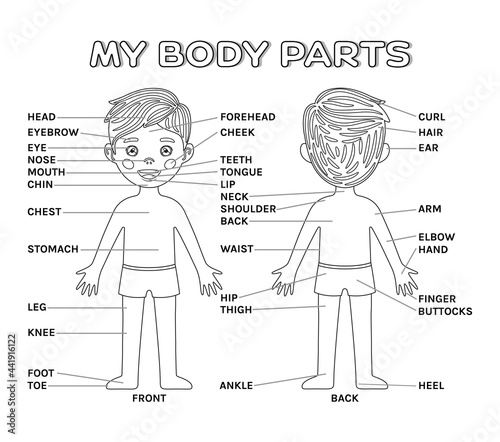 Poster Cartoon Boy and My Body Parts front and back view with vocabulary. Black and White Color. Illustration for page education workbook with words. Flat style image for medical game with children.