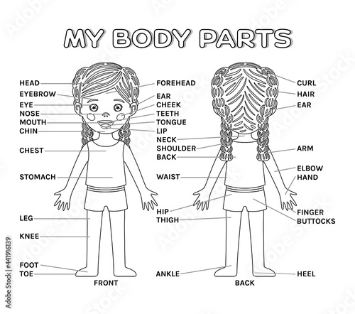 My Body Parts and cartoon isolated pretty little Girl. Poster for education Game with description for children. Front and Back view. Page of anatomical workbook. Black and White color. Vector image.