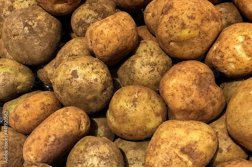 Fresh brushed potato piled on the market. Food backgroumd. Harvest photo