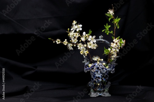 Composition of a sprig with small white flowers of a wild plum in a small vase of moire Czech glass on a black background