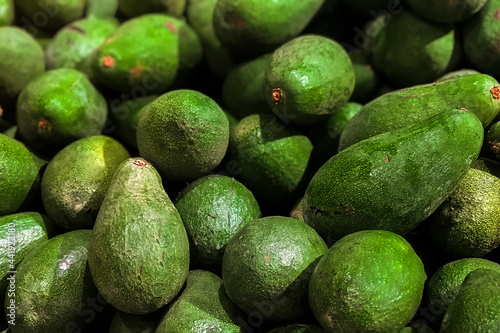 Fresh avocados piled on the market. Food backgroumd. Harvest photo