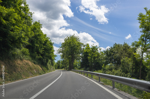 Road in the countryside lined with trees, blue skies and some pretty clouds.