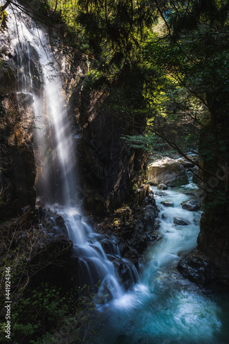 waterfall in the forest