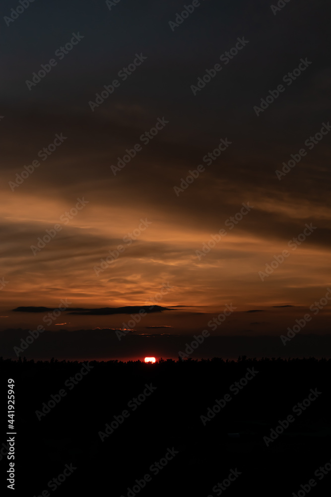 A sun ball rises behind the tops of trees and hides behind the clouds.