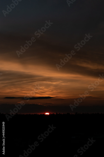 A sun ball rises behind the tops of trees and hides behind the clouds.