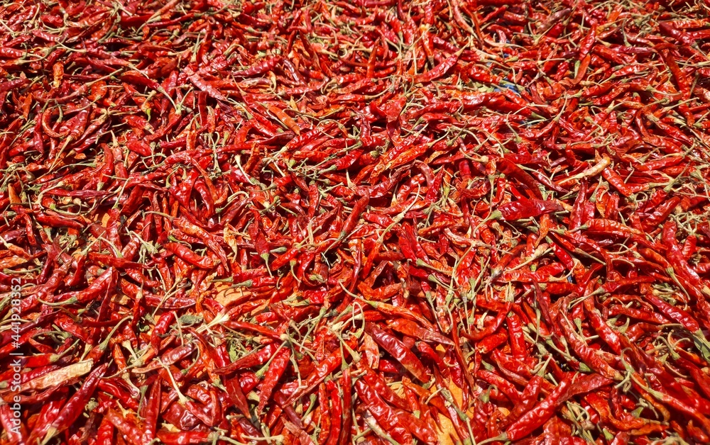 Fototapeta premium Stack of Dry Red Chilies in Sunlight in Horizontal Orientation, Perfect for Background