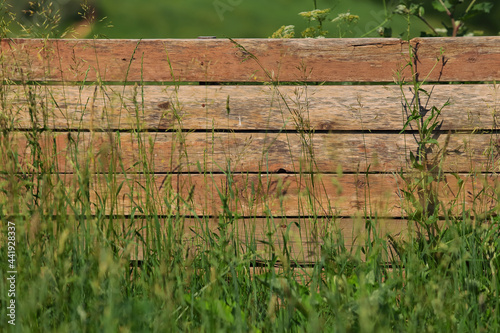 Wooden fence with horizontal planks stands among dense green grass