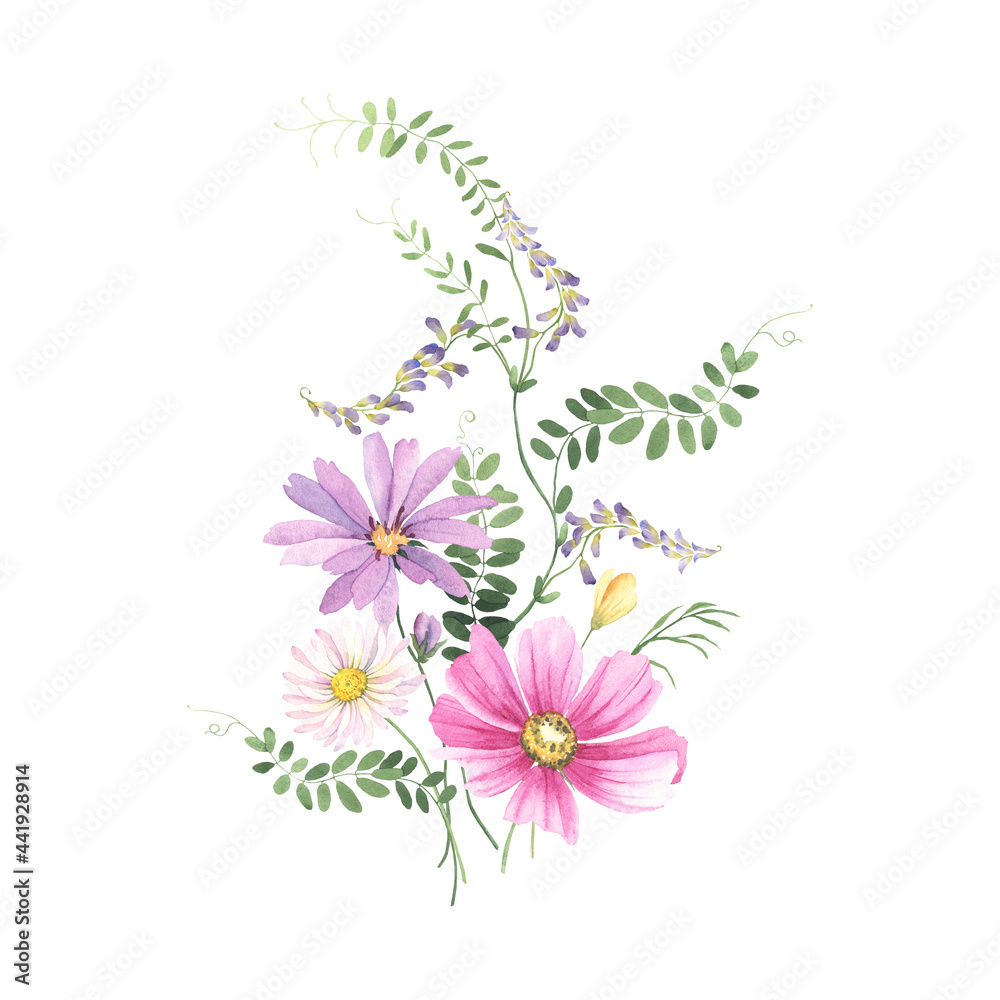 Wildflowers bouquet with colorful flowers and wild plant with small purple flowers and green delicate leaves. Watercolor floral illustration isolated on white background for your decor.