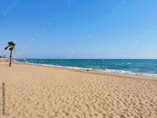 beach with palm trees