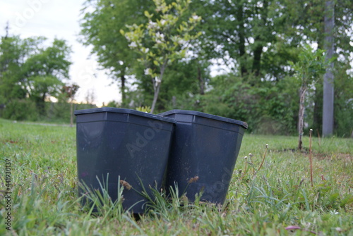 Garden tree buckets together
2021-06-01 Lithuania