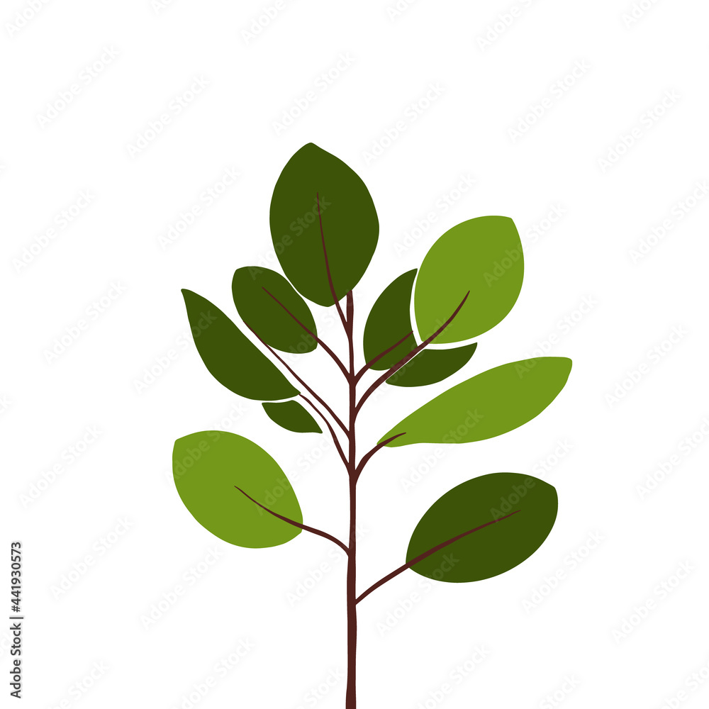 Ficus foliage abstract vector illustration Ficus foliage abstract vector illustration